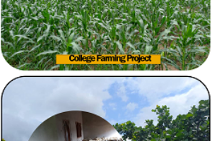 College Farming Project